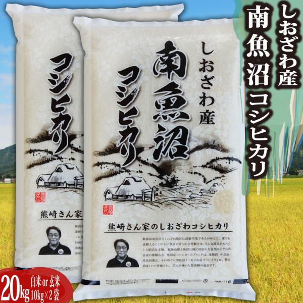新米 令和5年 埼玉県産 コシヒカリ 玄米 20kg - 米