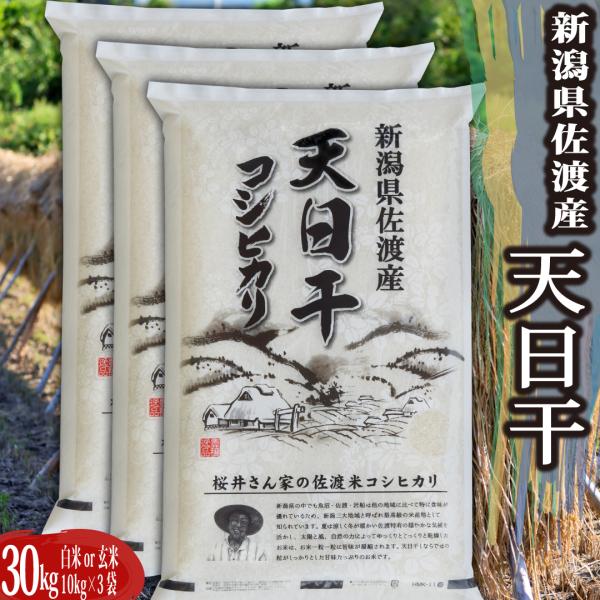 米 令和５年 お米 30kg コシヒカリ 玄米 30kg  新潟県佐渡産天日干 コシヒカリ  ｜ 玄米 米 お米 30kg 送料無料 ｜注文殺到のため、6/5出荷となります。