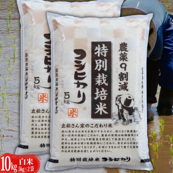 お米 新米 送料無料 農薬９割減特別栽培米 コシヒカリ 白米 10kg （5kg×2） 令和４年産 新米 安心 安全 ｜ 米 おこめ お米 10kg 白米 送料無料