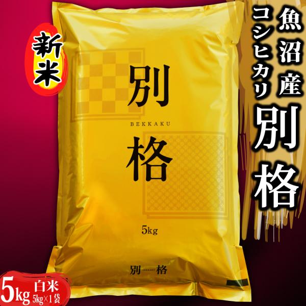 最終決算最終決算玄米 20kg コシヒカリ お米 米 群馬 コシヒカリ 農薬