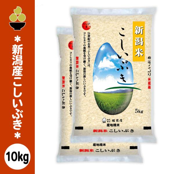 令和8年産 新潟産こしいぶき 10kg (5kg x 2袋) 産地精米 五ツ星お米マイスター 厳選