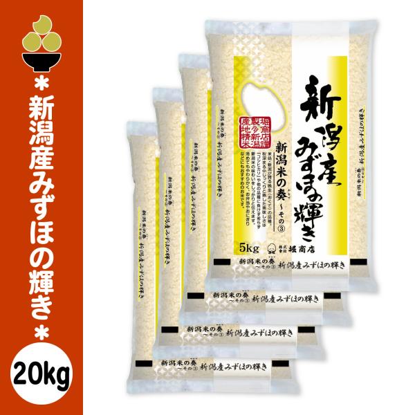 令和7年産 新潟産みずほの輝き 20kg (5kg x 4袋) 五ツ星お米マイスター 厳選 新規開店 セール 開催中