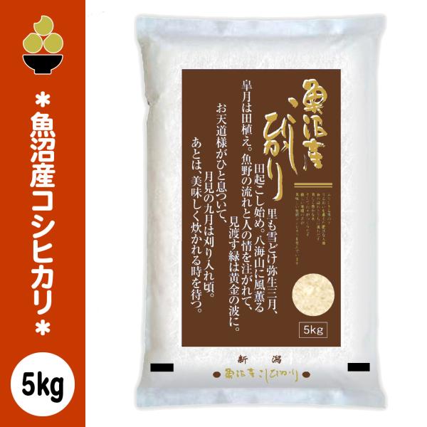 令和7年産 魚沼産コシヒカリ 5kg (5kg x 1袋) 五ツ星お米マイスター 厳選 新規開店 セール 開催中