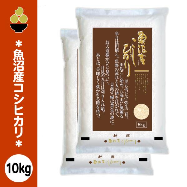 令和7年産 魚沼産コシヒカリ 10kg (5kg x 2袋) 五ツ星お米マイスター 厳選 新規開店 セール 開催中