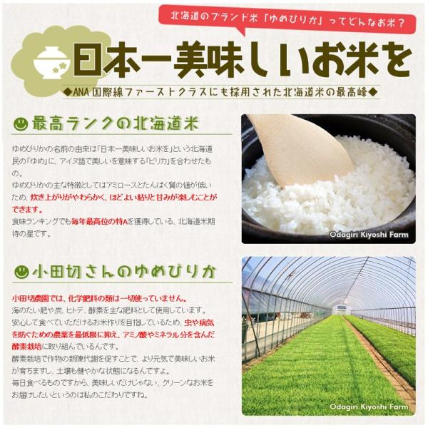 ゆめぴりか kg 30年産新米 北海道産 特別栽培米 送料無料 Buyee Buyee 提供一站式最全面最專業現地yahoo Japan拍賣代bid代拍代購服務