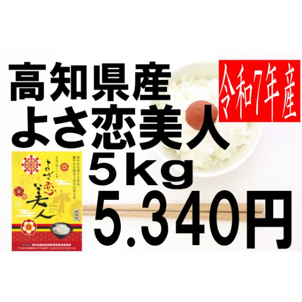 米 令和7年度産 高知県産 よさ恋美人 5kg : お米の米久 - 通販