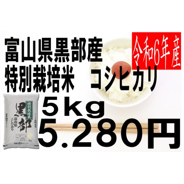 コシヒカリ 米 令和6年度産 富山県 黒部産 特別栽培米 コシヒカリ 米 令和6年度産 富山県 黒部産 特別栽培米