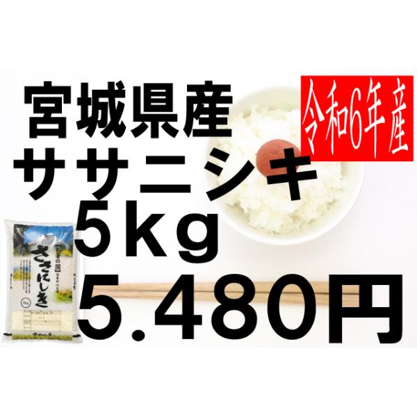 令和6年宮城県産　ササニシキ　精米18kg ササニシキ 令和6年産 〈ササニシキ 15kg 白米〉 宮城県産 米 お