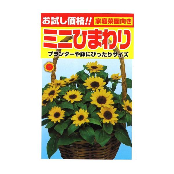 ミニ ひまわり 種の人気商品 通販 価格比較 価格 Com