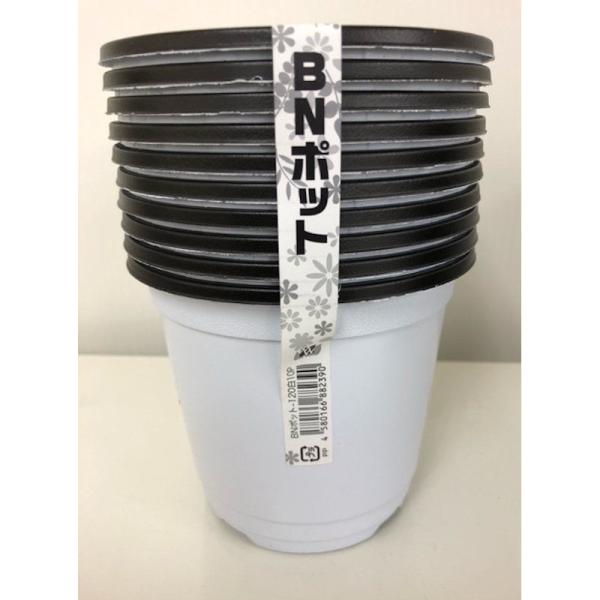 めぽら✽ 48STUDIO (@amemura48studio) / Posts / X