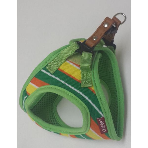 pXe{[_[\tgn[lX@rr^O[