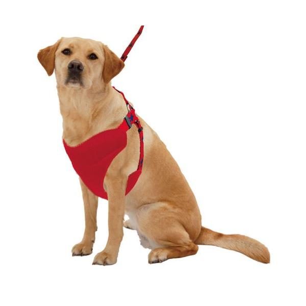 yeBI@JWX^[xXgn[lX@k@bh