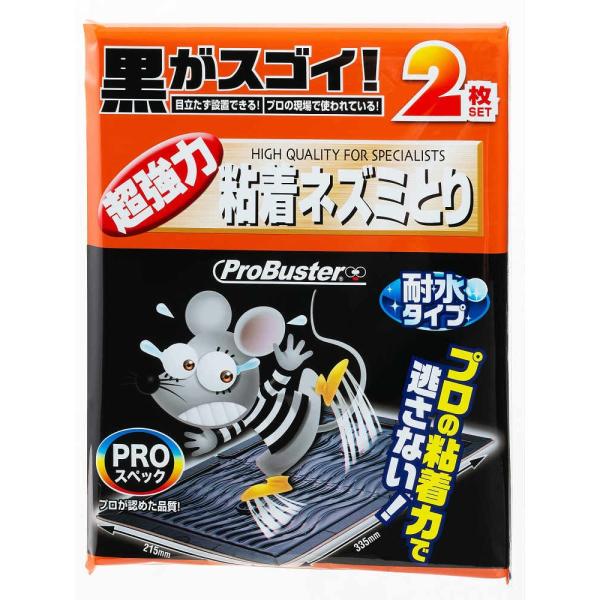 SlY~ƂV[g@ubN@Q 5Zbg