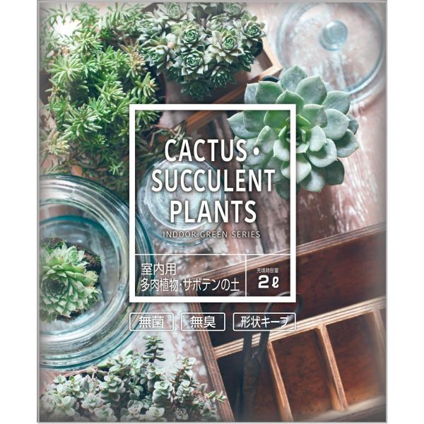 室内用多肉植物サボテンの土 コメリドットコム 通販 Paypayモール