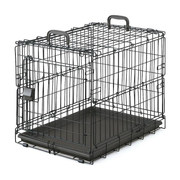 ACXI[}@܂肽݃P[W@ACAubNJ[@njd|UOOq