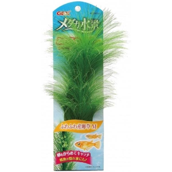 WFbNXifdwj@_JiӂӂY@l