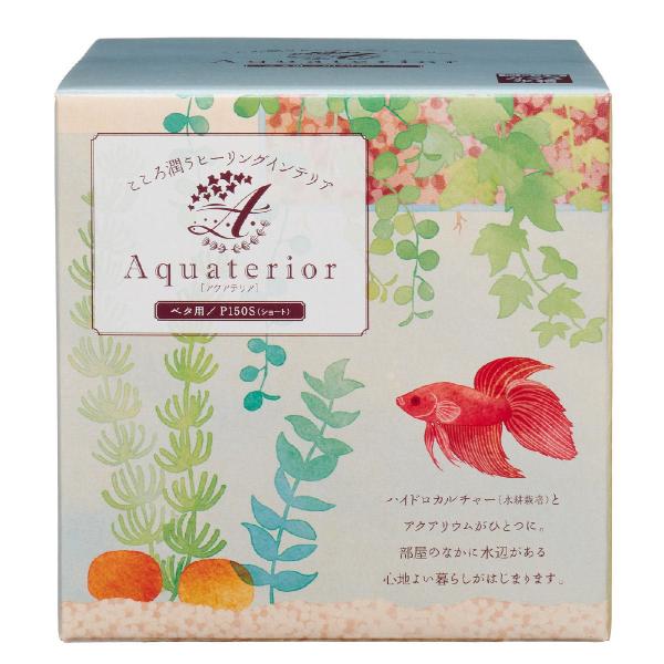 @ANAeA@oPTOriV[gj@x^p