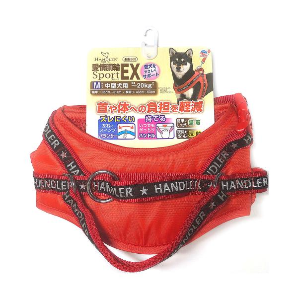 A[XEybg@փX|[cdw@ԁ@lTCY