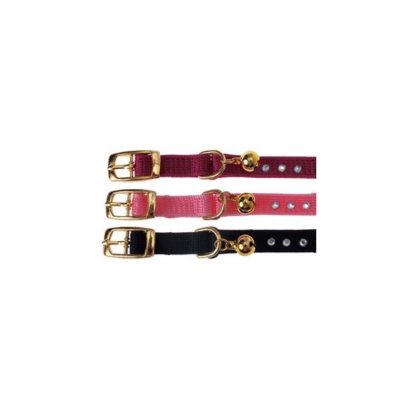 lcUOWP@Lp̂тJ[@l@sN