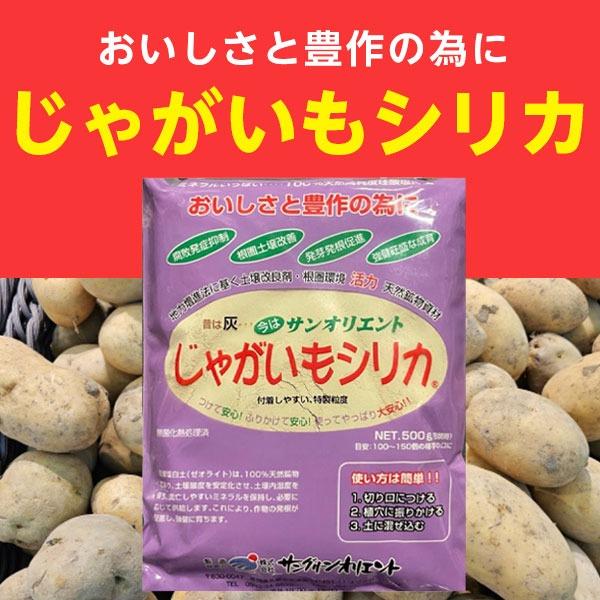じゃがいもシリカ 500g 土壌改良材 種芋 腐敗 防止 家庭菜園