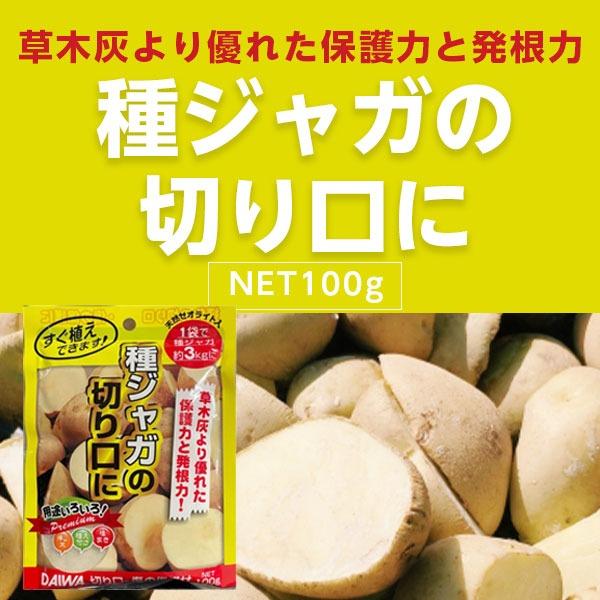 切り口・傷の保護材 100g じゃがいも 秋じゃが シリカ 肥料の大和