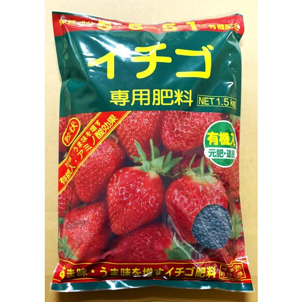 イチゴ専用肥料  1.5Kg×3袋 アミノール化学研究所 イチゴ肥料 家庭菜園 アミノ酸 醗酵有機入肥料 粒状 いちご 肥料