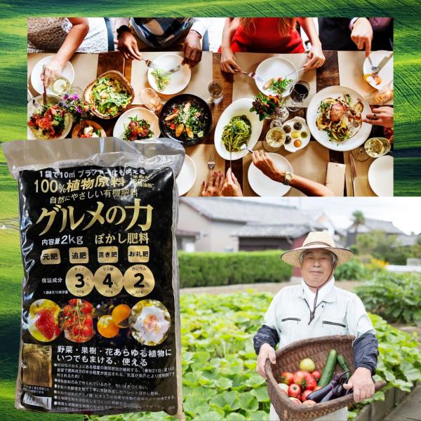 グルメの力 ぼかし肥料 2kg 元肥 追肥 置き肥 お礼肥 有機肥料 トキタ種苗 美味しい野菜 家庭菜園 土壌改良