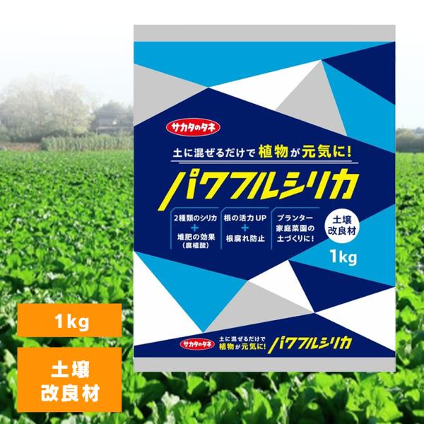 他サイト： パワフルシリカ 1Kg 土壌改良材 サカタのタネ ダブルシリカ 有機腐植酸 ガーデニング 家庭菜園の商品画像