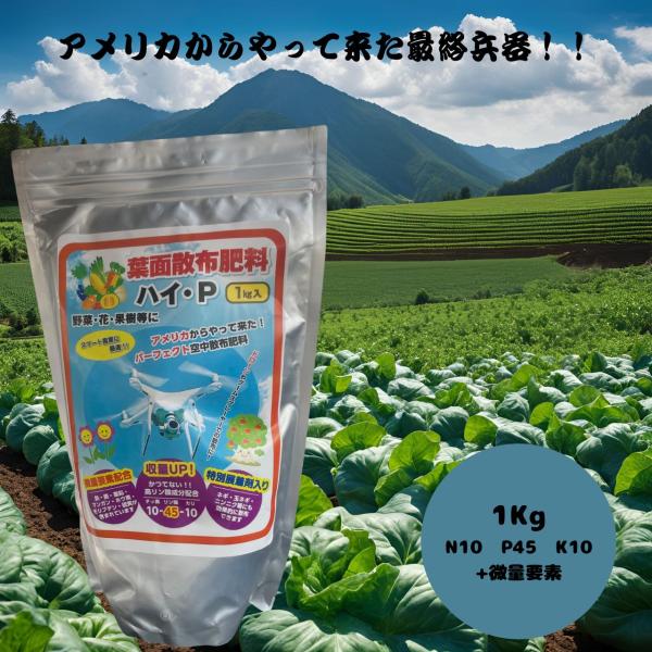 高濃度葉面散布肥料 ハイ・P 1kg 福井シード リン酸 日照不足 生理障害