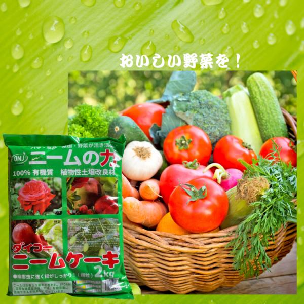 ダイコー ニーム ケーキ 2Kg 100％有機 家庭菜園 アザディラクチン 健全野菜