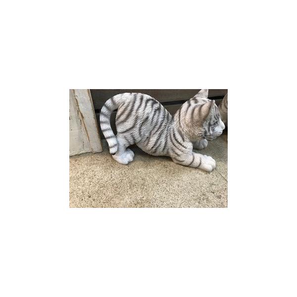 仔ホワイトタイガー じゃれる子白トラ Buyee Buyee Japanese Proxy Service Buy From Japan Bot Online