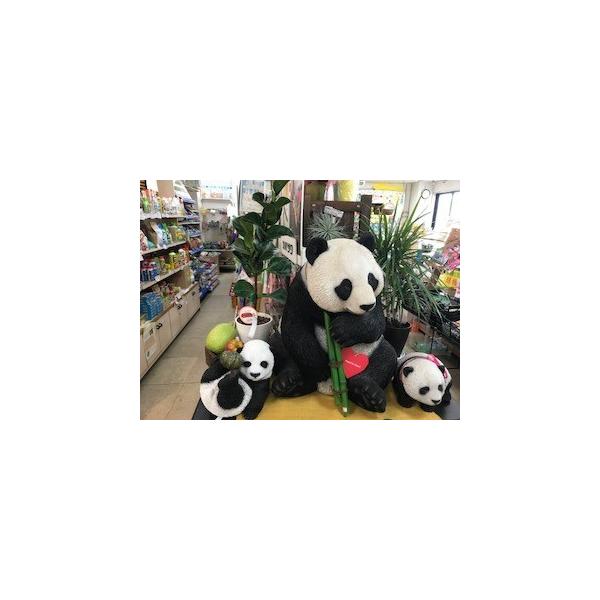 パンダ親子 親パンダ 座る小パンダ じゃれる子パンダ Buyee Buyee Japanese Proxy Service Buy From Japan Bot Online
