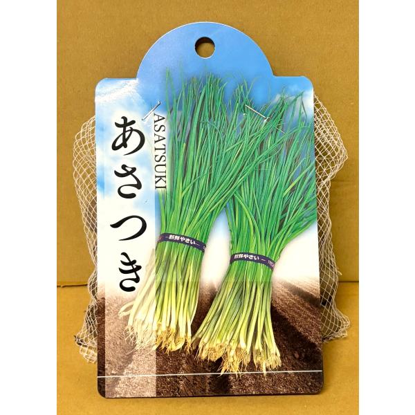 ３袋以上でクーポン割引 あさつき 種球 200g 送料無料 野菜種 野菜 園芸 人気 栽培 種子 野菜の種 たね 美味しい 安い おすすめ 球根 販売 家庭菜園