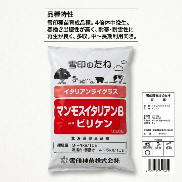 マンモスイタリアンB ビリケン イタリアンライグラス 1Kg 雪印種苗 栽培 牧草 飼料 種子 購入 通販 販売 限定数量
