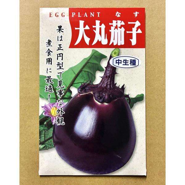 ３袋以上でクーポン割引 大丸茄子 中生種 種 1.5ml　なす ナス
