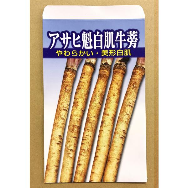 ３袋以上でクーポン割引 アサヒ魁白肌牛蒡 種 7ml ごぼう ゴボウ