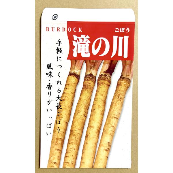 ３袋以上でクーポン割引 滝の川牛蒡 種 6ml ごぼう ゴボウ 送料無料 小袋 野菜 園芸 人気 栽培 種子 野菜の種 たね 美味しい 安い おすすめ