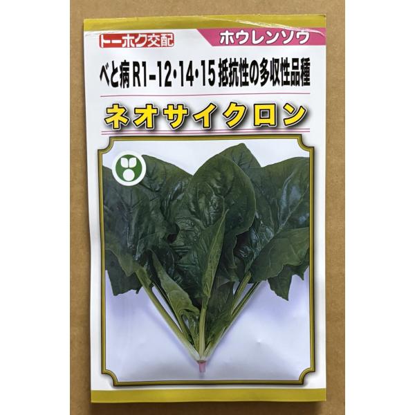 ３袋以上でクーポン割引 ネオサイクロン 法蓮草 20ｍl 種 ほうれんそう ホウレンソウ