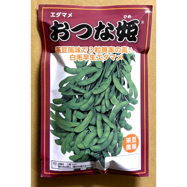 ３袋以上でクーポン割引 おつな姫 エダマメ 種 1dL  枝豆 えだまめ  茶豆風味 送料無料 野菜種 野菜 園芸 人気 栽培 種子 野菜の種 たね 美味しい
