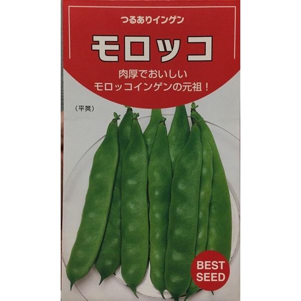 平莢でやわらかい。多用途に使える。○植付時期／５月〜７月○収穫時期／７月〜９月●特性（1）長さ14ｃｍ、幅1.8ｃｍ程度の平莢。　　  肉厚で食味が格別。（2）草勢旺盛で栽培容易な、多収のつるあり種。（3）とり遅れて大莢になっても、やわらか...