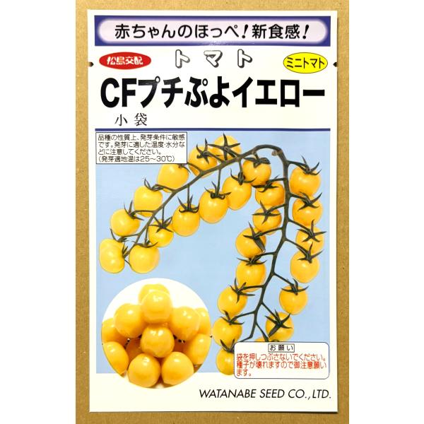 ３袋以上でクーポン割引  CFプチぷよイエロー 種 7粒 ミニトマト ぷちぷよイエロー トマト とまと 黄色野菜 酸味少ない 栽培 種子 たね タネ 小袋 送料無料