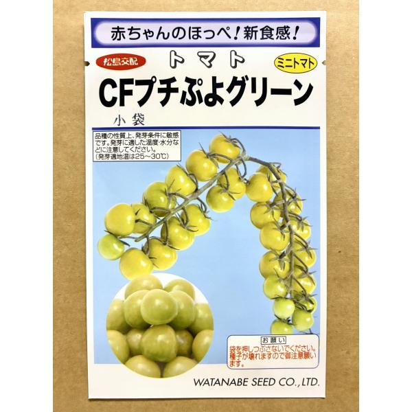 ３袋以上でクーポン割引 CFプチぷよグリーン 種 7粒 ミニトマト ぷちぷよグリーン トマト とまと 緑色 野菜 甘い  園芸 栽培 種まき 種子 たね 小袋  送料無料