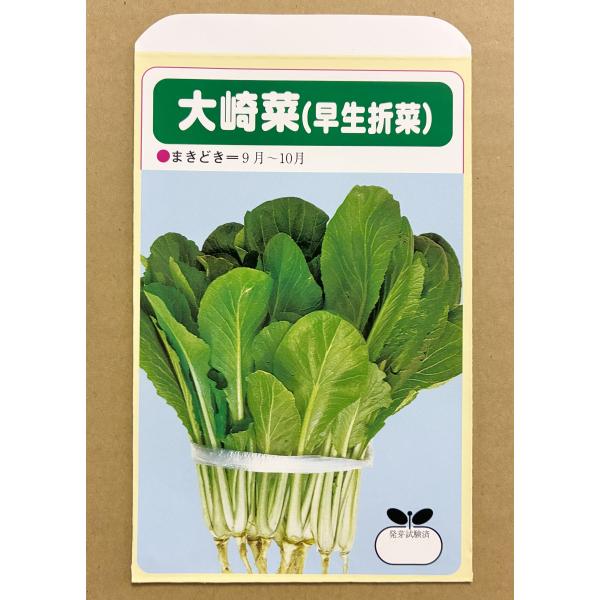 3袋以上でクーポン割引 大崎菜 (早生折菜) 5ml 種 送料無料 小袋 野菜種 野菜 園芸 人気 栽培 種子 野菜の種 たね 美味しい 安い おすすめ
