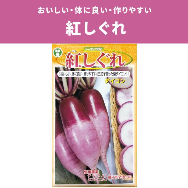 ３袋以上でクーポン割引 紅しぐれ 大根 種 5ml だいこん ダイコン 送料無料 小袋 野菜種 野菜 園芸 人気 栽培 種子 野菜の種 たね 美味しい 安い おすすめ