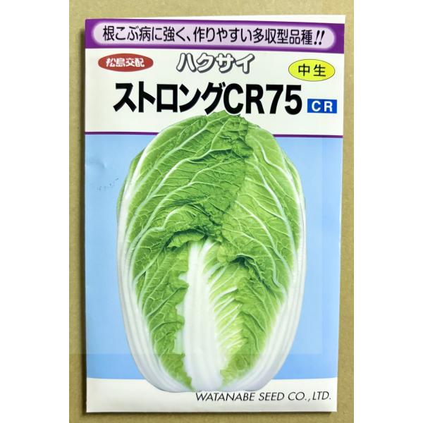 ３袋以上でクーポン割引 ストロングCR７５ 白菜 種 1ml はくさい ハクサイ 送料無料 小袋 野菜 園芸 人気 栽培 種子 野菜の種 たね 美味しい 安い おすすめ