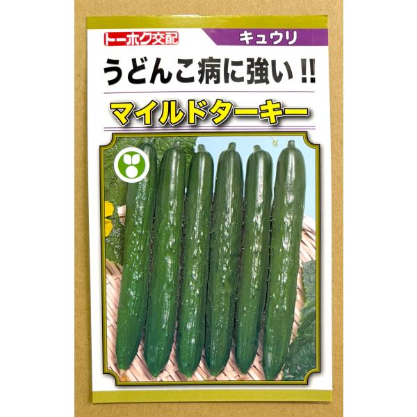 ３袋以上でクーポン割引  マイルドターキー キュウリ 種 14粒 きゅうり 胡瓜 送料無料 小袋 野菜 園芸 人気 栽培 種子 野菜の種 たね 美味しい 安い おすすめ