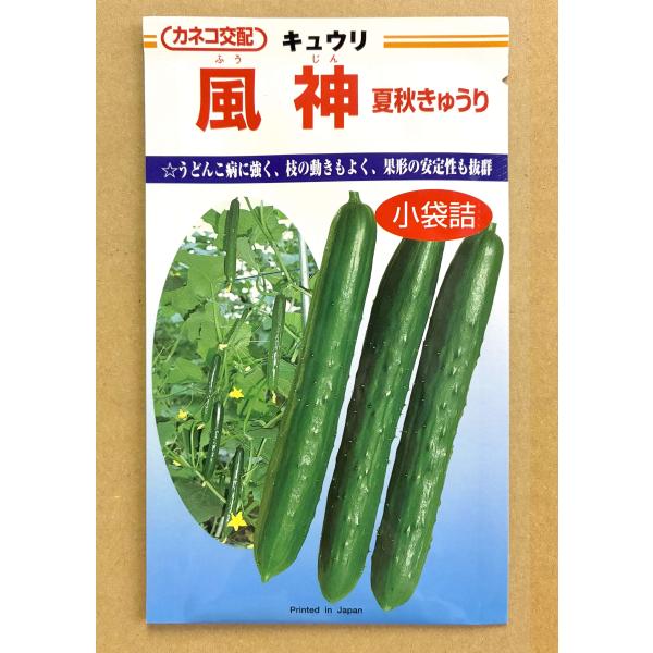 ３袋以上でクーポン割引 風神 夏秋 きゅうり 種  10粒 キュウリ 胡瓜 送料無料 小袋 野菜 園芸 人気 栽培 種子 野菜の種 たね 美味しい 安い おすすめ
