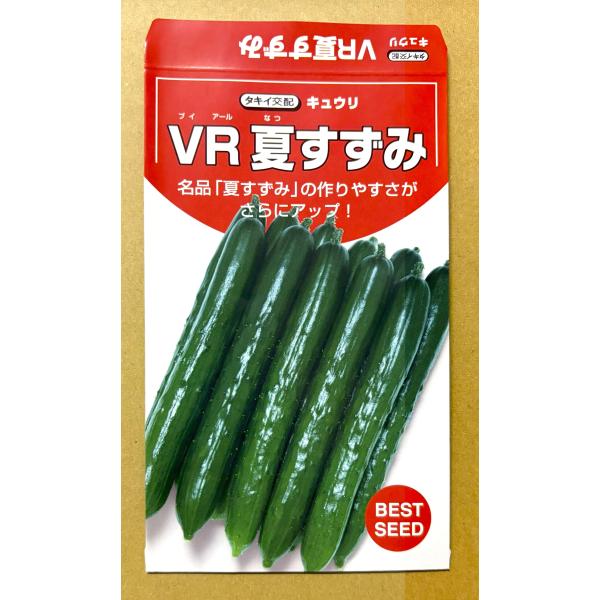 ３袋以上でクーポン割引 VR夏すずみ キュウリ 種 13粒 きゅうり  胡瓜 送料無料 小袋 野菜 園芸 人気 栽培 種子 野菜の種 たね 美味しい 安い おすすめ