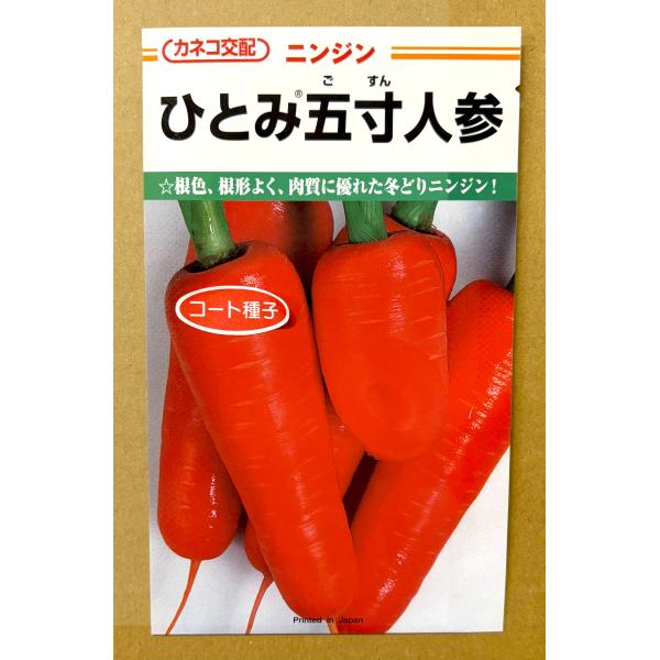 ３袋以上でクーポン割引 ひとみ五寸人参 コート種子 種 20ml にんじん ニンジン