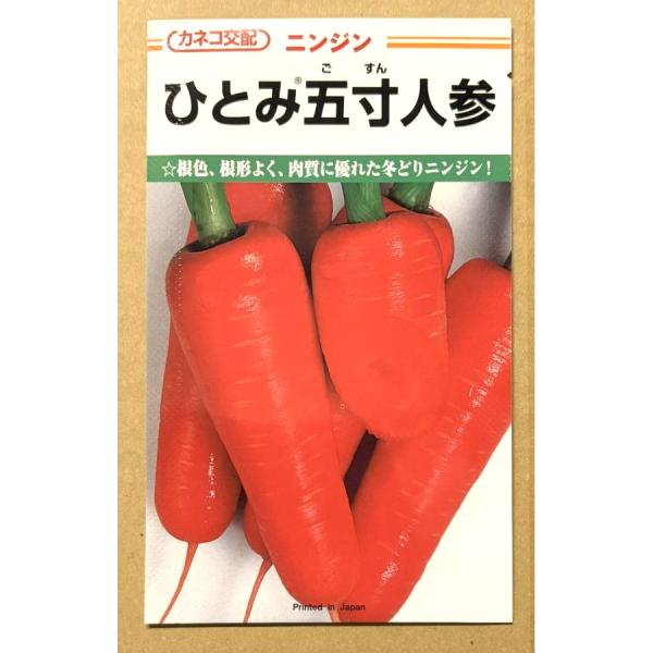 ３袋以上でクーポン割引 ひとみ五寸人参 種 6ml にんじん ニンジン